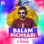 Balam Pichkari (Remix)   DJ PURVISH