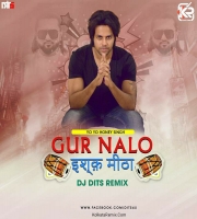 GUR NALO ISHQ - DJ DITS