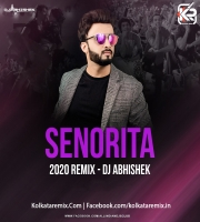 Senorita (2020 Remix) - (ZNMD) - DJ Abhishek