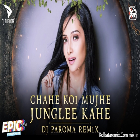 chahe koi mujhe junglee kahe mp3 song free download