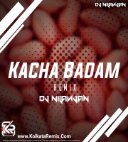 KACHA BADAM (REMIX) - DJ NILANJAN