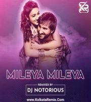Mileya Mileya (Official Remix) - DJ Notorious