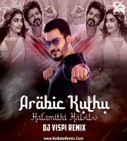 Arabic Kuthu (Remix) - Halamithi Habibo - DJ Vispi
