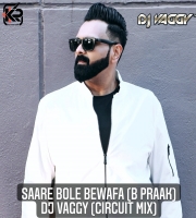 Saare Bolo Bewafa (Curcuit Mix) - DJ Vaggy