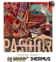 Pasoori - DJ Vaggy , Hermus (House Mix)