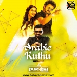 Arabic Kuthu (Remix)    Deejay Purvish
