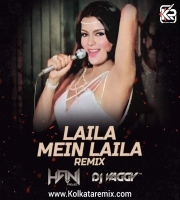 Laila Mein Laila - DJ Hani Project x DJ Vaggy