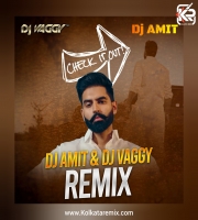 Check It Out - DJ Vaggy X DJ Amit Remix