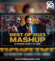 Best of 2023 MASHUP - DJ Shadow Dubai x DJ Ansh