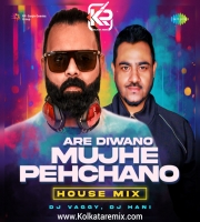 Are Diwano Mujhe Pehchano (House Mix) - Dj Vaggy X Dj Hani