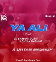 Ya Ali (2K24 Remix) - DJ Shadow Dubai x Dhyan Mashup