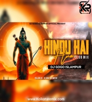 HINDU HAI HUM (Remix) - DJ GOGO