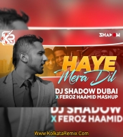 Haye Mera Dil - DJ Shadow Dubai x Feroz Haamid Mashup